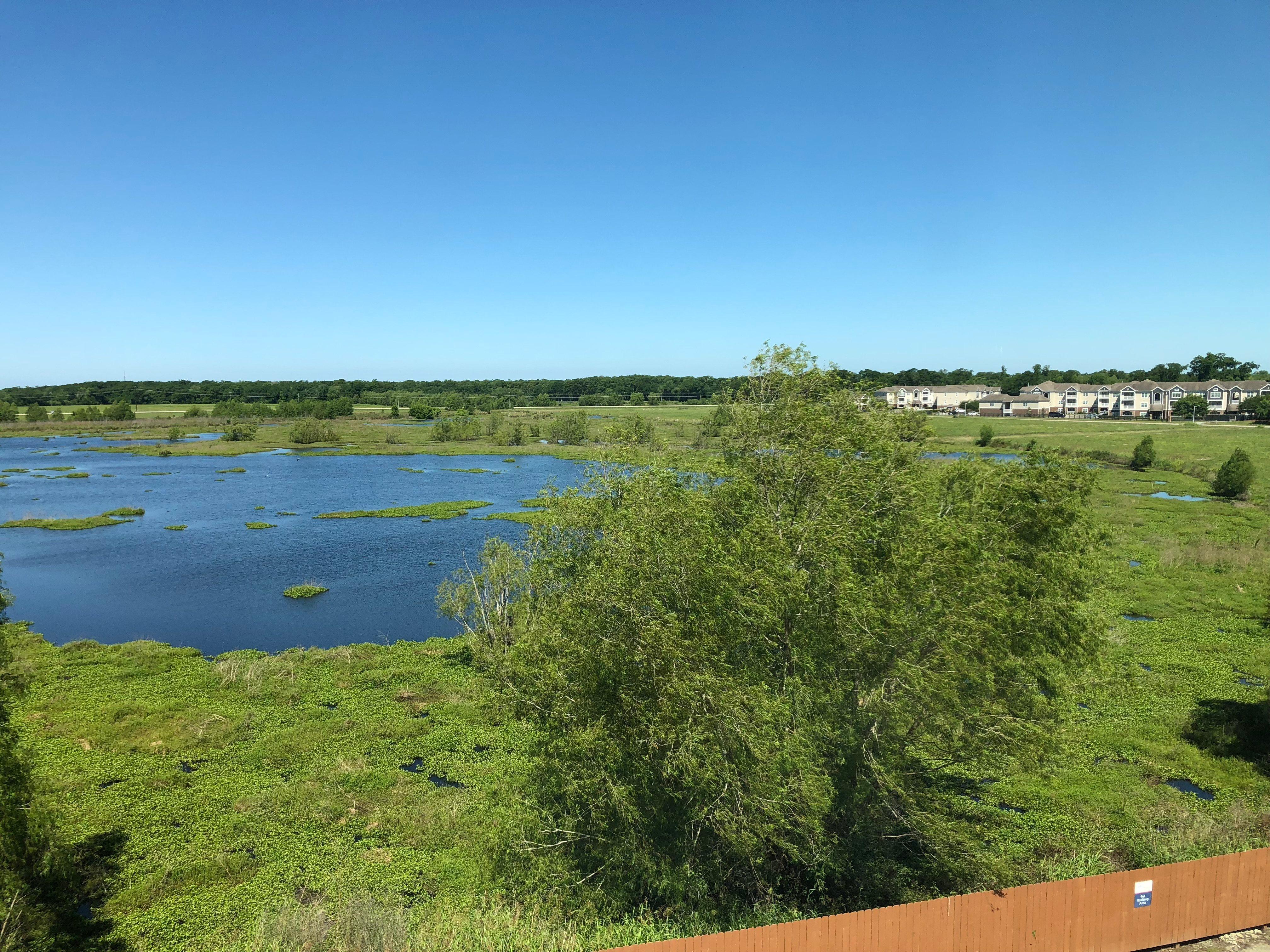 Candlewood Suites Houma By Ihg Экстерьер фото
